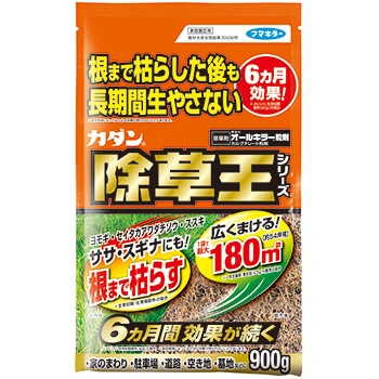 �t�}�L���[�@�J�_���@�������I�[���L���[���܁@�X�O�O��