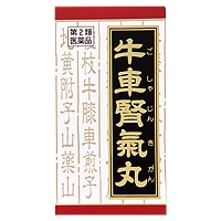 �y�����񂹁z���Ԑt�C�ۃG�L�X���@�R�U�O��
