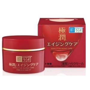 �����{�@�ɏ��@��p�n���N���[���@�T�O��