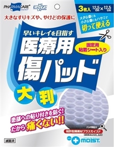 ��×p���p�b�h�@�唻�@�R��