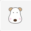 �y�b�g